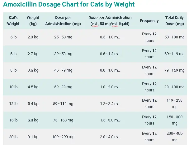 Amoxicillin Dosage Chart for Cats by Weight