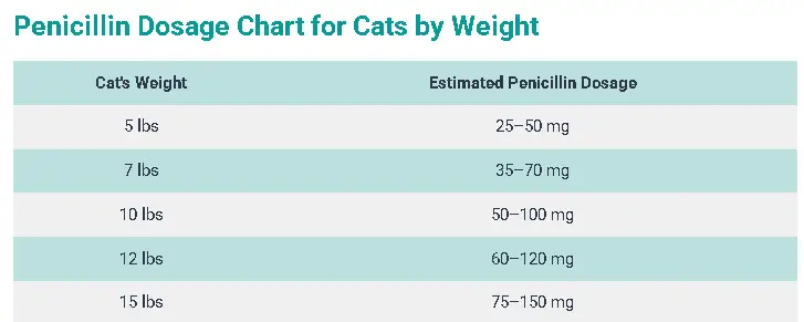 Penicillin Dosage For Cats: Calculator, Chart & Safe Guide 5 Penicillin Dosage Chart for Cats by Weight