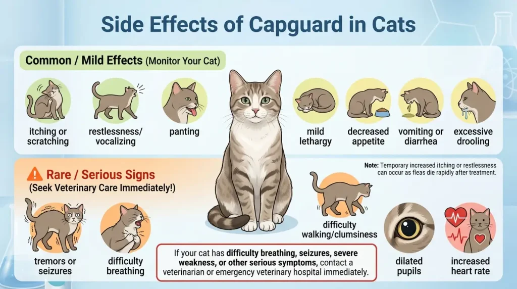 Capguard Dosage For Cats: Calculator, Chart & Safe Guide 4 Side Effects of Capguard in Cats